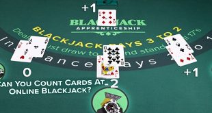 Blackjack Expert Explains How Card Counting Works