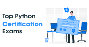 Top and Highly rated Python Certification Course 2022