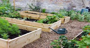 The Advantages of a Metal Raised Garden Bed