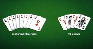 Words Used In Rummy You Must Know Before Playing The Game