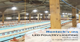 Poultry Lights - The Basics Of Poultry Lighting