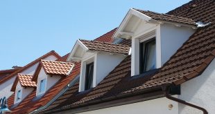 Why Should You Keep Your Roof Clean?