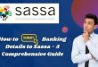 Check SASSA Status 2023: A Comprehensive Guide