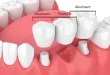 How General Dentistry Bridges Preventive And Cosmetic Dentistry Together